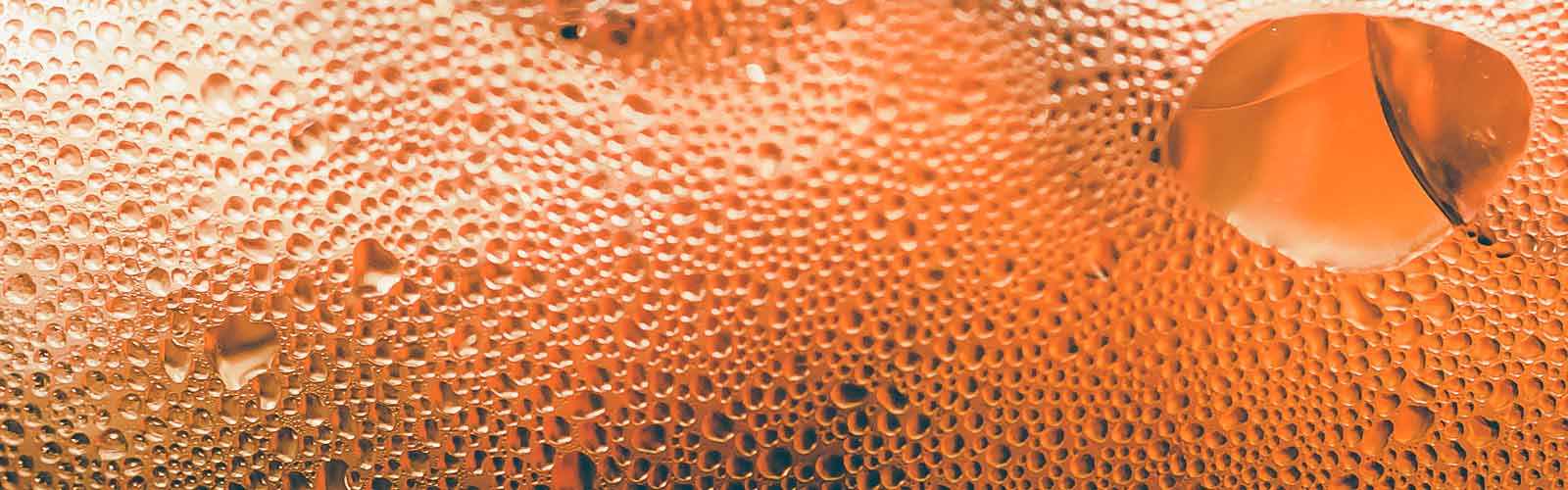 Duplicate of Bacterial contaminants in soft drinks hero banner